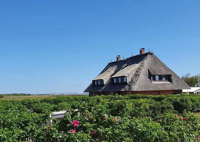 Kliffblick Am Watt Appartement
